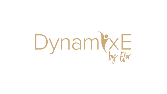 Efor ecquires DynamixE